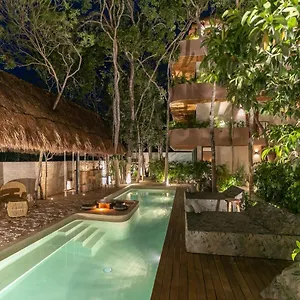 https://zereno.allrivieramayahotels.com