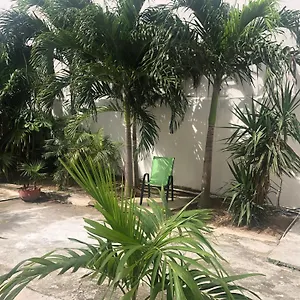 studios-playa.allrivieramayahotels.com/