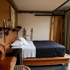 https://bufo-alvarius.tulum-hotels.net